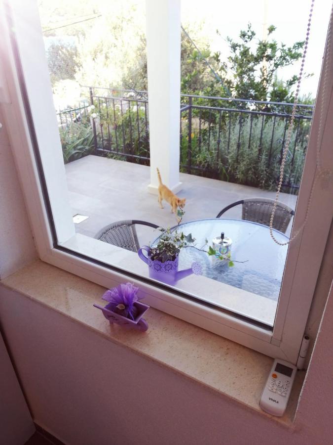 Apartmani Skalinada Марина Экстерьер фото